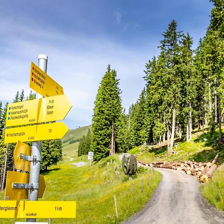 Alpensteinbock L Saalbach-Hinterglemm