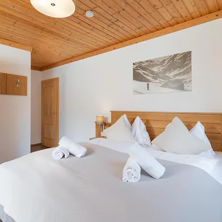 Alpensteinbock L Saalbach-Hinterglemm