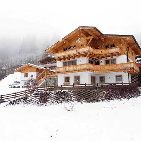 Alpensteinbock L 萨尔巴赫