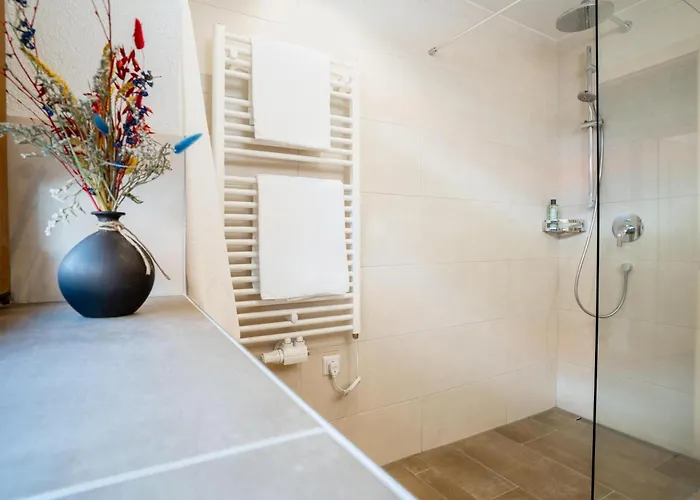 Alpensteinbock L Saalbach-Hinterglemm