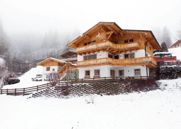 Alpensteinbock L Saalbach-Hinterglemm