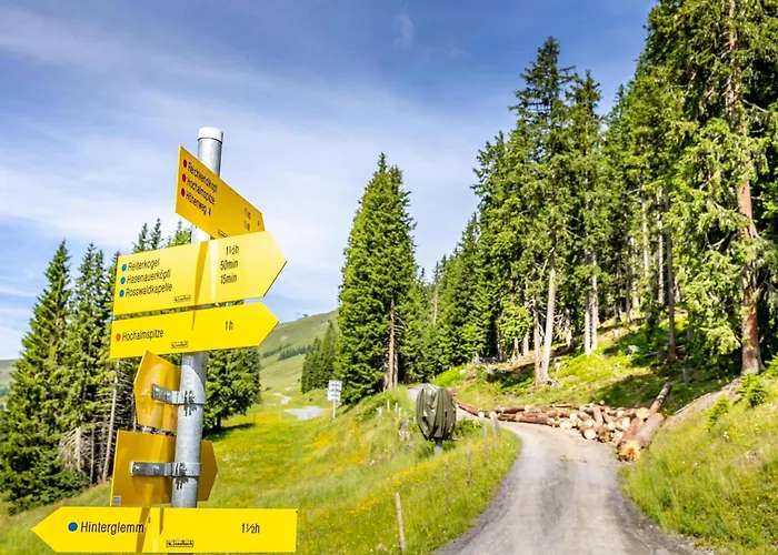 Alpensteinbock L Saalbach-Hinterglemm