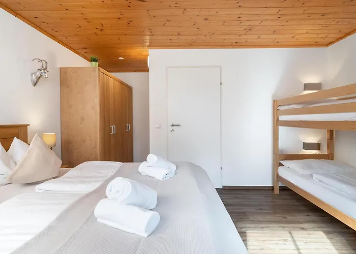 Alpensteinbock L Saalbach-Hinterglemm